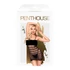 Penthouse Ecstasy Queen - pruhované sieťové šaty (čierne) - S-L